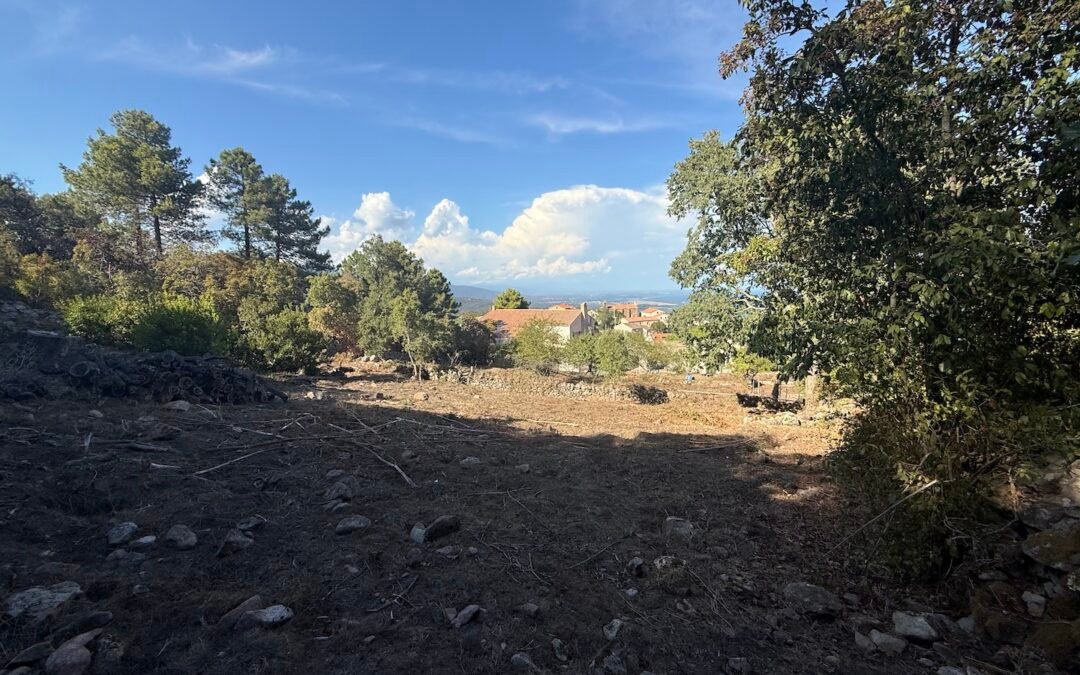 Dans un cadre champêtre, au coeur du village de Sari-Solenzara, en vue mer et montagnes, terrain constructible avec PC purgé de tous recours