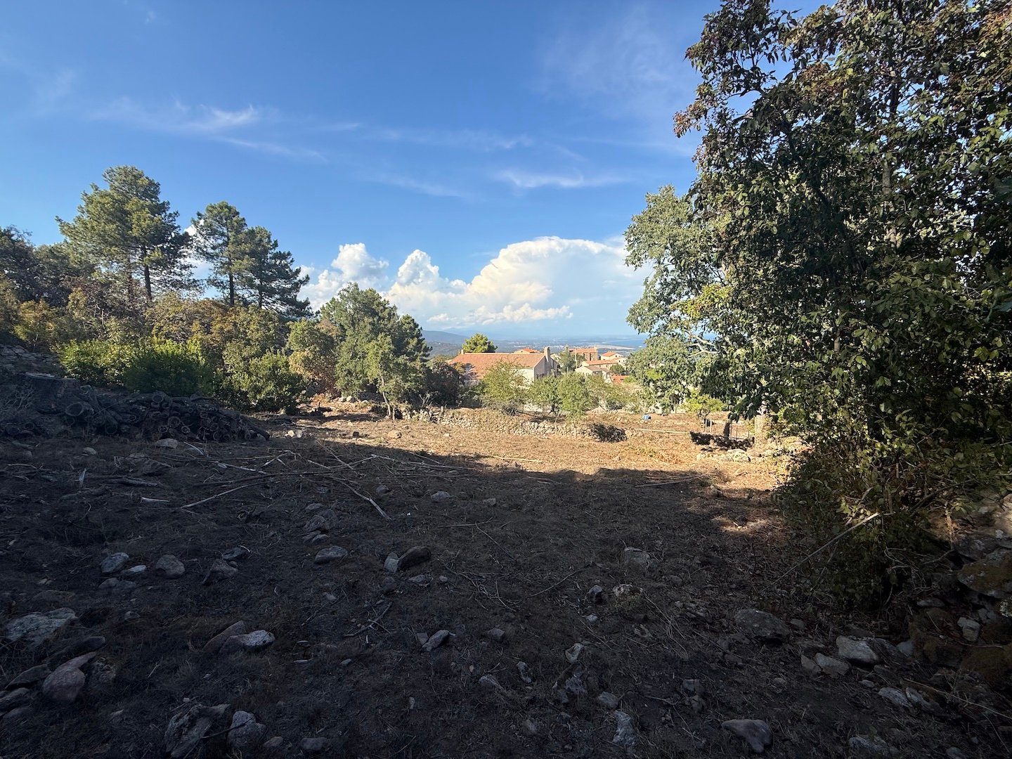 terrain 15