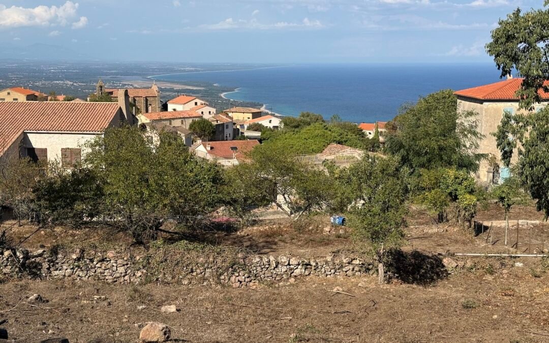 Dans un cadre bucolique, vue mer et montagnes, terrain constructible avec PC purgé de tous recours